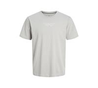 JACK & JONES Jprbluarchie SS Tee Crew Neck Noos, Drizzle., S