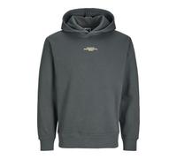 JACK & JONES Men's Jcoalpha Mountain Print Sweat Hood Sweatshirt, Urban Chic, L
