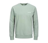 JACK & JONES Men's Jjebradley Graphic Sweat Crew Noos Sweatshirt, Iceberg Green, XXL