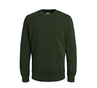 JACK & JONES Men's Jjeholmen Sweat Crew Neck Noos Pullover, Green (Rosin/Reg Fit), L