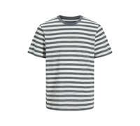JACK & JONES Men's Jorvarenna Stripe Tee Ss Crew Neck, Stormy Weather, M