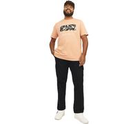 Jack & Jones Mens Kane Barkley Big & Tall Cargos