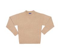 JACK & JONES Men's Jorollie Knit Crew Neck Sn Jumper, Humus, M