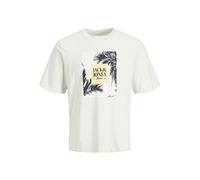 JACK & JONES PLUS Men's Jorpalma Branding AOP Tee SS Crew Pls T-Shirt, Pale Blue, XXXX-Large