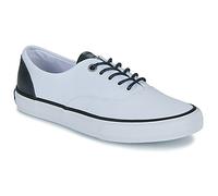 Jack & Jones Shoes (Trainers) JFW CURTIS CASUAL CANVAS in White 7