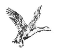 Jack Pyke Duck Badge in Silver Jack Pyke Silver