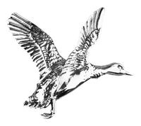 Jack Pyke Pin Badge Countryman Outdoor Shooting Gift, Duck, H 2.7 X W 3.8 cm