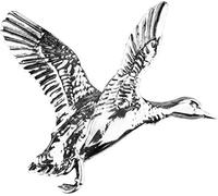 Jack Pyke Pin Badge Countryman Outdoor Shooting Gift, Duck, H 2.7 X W 3.8 cm