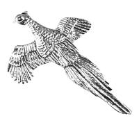 JACK PYKE Pin Badge Countryman Outdoor Shooting Gift Pheasant