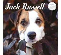 Jack Russell 2025 Deluxe Calendar