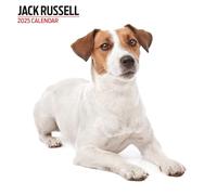 Jack Russell 2025 Modern Calendar