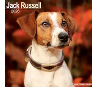 Jack Russell 2026 Calendar | Square Wall Calendar | Dog Breed Gift | Plastic Free Packaging | by Avonside Publishing