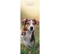 Jack Russell 2026 Slim Calendar