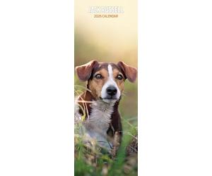Jack Russell 2026 Slim Calendar