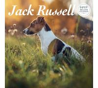 Jack Russell 2027 Deluxe Calendar