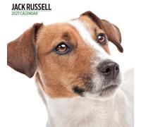 Jack Russell 2027 Modern Calendar