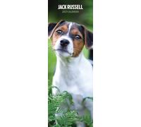 Jack Russell 2027 Slim Calendar