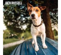 Jack Russell 2027 Traditional Calendar