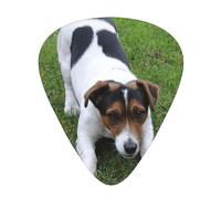 Jack Russell Dog,12 Pcs Guitar Pick,3 Different Thickness Plectrums for Acoustic Guitar Bass Ukulele (0.46mm 0.96mm 0.71mm)