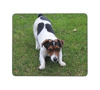 Jack Russell Dog Print Mouse Pad Square Mouse Mat Non-Slip Mousepad Large Gaming Mouse Mat For Office Laptop 7.9 x 9.5 in
