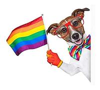 Jack Russell Gay Pride Art Print Canvas Premium Wall Decor Poster