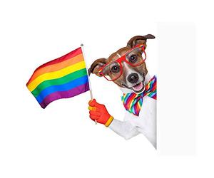 Jack Russell Gay Pride Unframed Wall Art Print Poster Home Decor