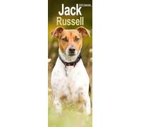Jack Russell Slim 2026 Calendar | Slimline Wall Calendar | Dog Breed Gift | Plastic Free Packaging | by Avonside Publishing
