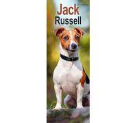 Jack Russell Slim 2027 Calendar | Slimline Wall Calendar | Dog Breed Gift | Plastic Free Packaging | by Avonside Publishing