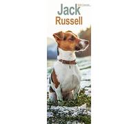 Jack Russell Slim Calendar 2024 Dog Breed Slimline Calendar - 12 Month