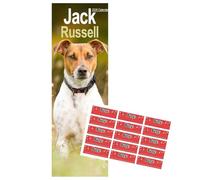Jack Russell Slim Calendar 2026 | Dog Breed Slimline Calendar | 12 Month Wall Calendar | January 2026 To December 2026 | With Free Organisational Stickers