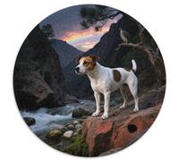 Jack Russell Terrier 1000 Piece Jigsaws Pet Dog Round Puzzles for Adults And Kids Colorful Unique Challenge Games Scene Creative 1000pcs (67.5x67.5cm)
