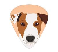 Jack Russell Terrier Dog,12 Pcs Guitar Pick,3 Different Thickness Plectrums for Acoustic Guitar Bass Ukulele (0.46mm 0.96mm 0.71mm)