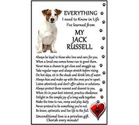 Jack Russell Terrier Lover (I Learned from my Jack Russell Terrier) Gift - Large Fun flexible Fridge Magnet- size 16cms x 10 cms (approx. 6" x4")