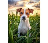 Jack Russell Terrier Stamped Cross Stitch Kits for Beginners Adults - Preprinted 11CT Easy Pattern Needlepoint Kits, Arts and Crafts for Home Decor (11.8x15.7inch) 647