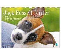Jack Russell Terrier : vif et joueur (Calendrier mural 2026 DIN A3 vertical), CALVENDO calendrier mensuel: Jack Russell Terrier : le compagnon idéal pour le sport et les activités physiques