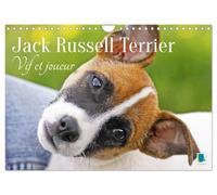 Jack Russell Terrier : vif et joueur (Calendrier mural 2027 DIN A4 vertical), CALVENDO calendrier mensuel: Jack Russell Terrier : le compagnon idéal pour le sport et les activités physiques