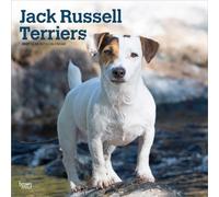 Jack Russell Terriers 2027 12 X 24 Inch (Hanging) Monthly Square Wall Calendar Plastic-Free: Original BrownTrout-Kalender [Mehrsprachig] [Kalender]