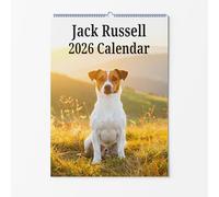 Jack Russell Wall Calendar - Choice Of Sizes - A3 Dog Calendar - Dog Lovers Monthly Planner 2026