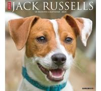 Jack Russells 2025 Wall