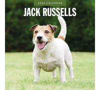 Jack Russells - 2026 Square Wall Calendar - by Red Robin Publishing