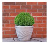 Jack Stonehouse 39cm Bali Planter - Antique Beige 16"