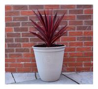 Jack Stonehouse 42cm Tall Somerville Planter - White (33lt)