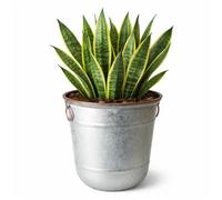 Jack Stonehouse Jsh Galvanised Steel & Copper Rim Effect 32L Bucket Planter In Recycled Plastic Round Garden Flower Pot