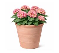 Jack Stonehouse JSH Rustic Terracotta Effect 41L Planter | 100% Recycled Plastic 47cm Classic Traditional Round Garden Flower Pot | Strong & Lightweight | Frost & UV Resistant (1)