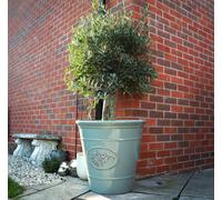 Jack Stonehouse Outdoor Classic Olive Planter - Ceramic Look Round Plastic Flower Pot - 55X52Cm 75Ltr - Glossy Finish - Frost / Uv Resistant