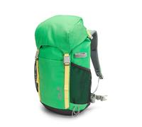 Jack Wolfskin 20 litre hiking rucksack for kids Kids Explorer 20 One Size lizard lizard