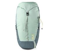 Jack Wolfskin Astro Vent 30 L Hiking backpack 62 cm green