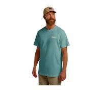 Jack Wolfskin Men’s organic cotton T-shirt Essential T-Shirt Men L soft jade soft jade