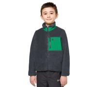 Jack Wolfskin Kids’ fleece jacket Ice Curl Jacket Kids 140 phantom / green phantom / green