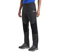 Jack Wolfskin Men's Hiking Alpine Pants M, Phantom, 52 (EU)